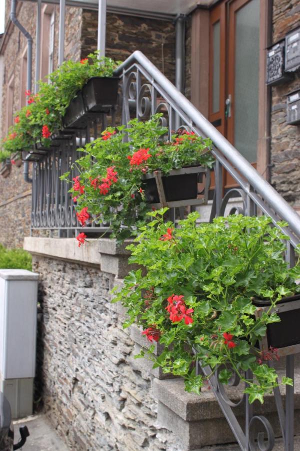 Moselloft Zeltingen-Rachtig Apartment Exterior photo
