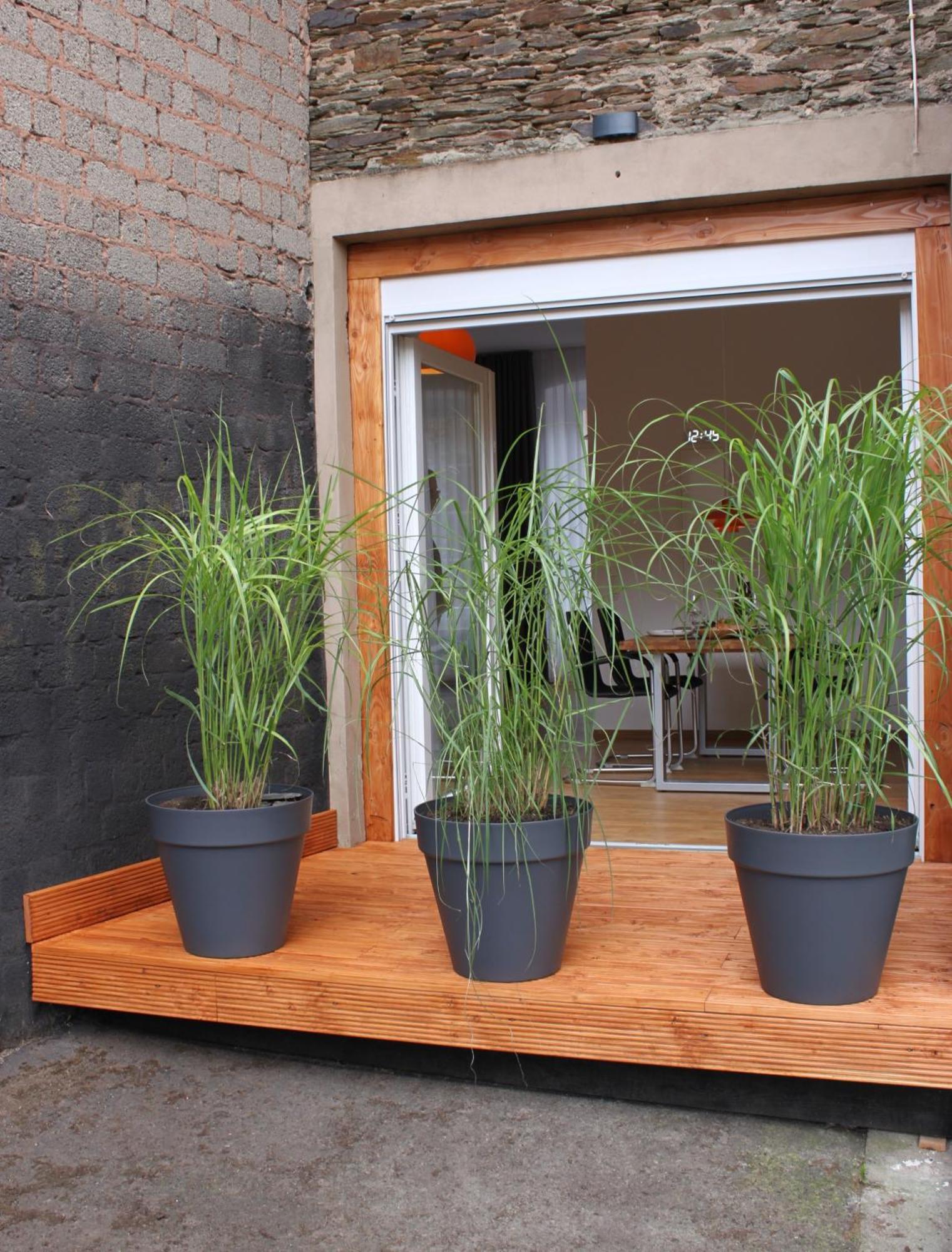 Moselloft Zeltingen-Rachtig Apartment Exterior photo